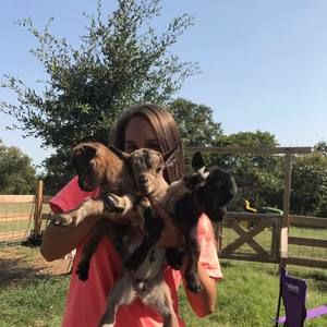 Meet your Posher, Bethany